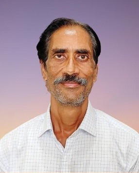 Prof. Ajay Thawait
